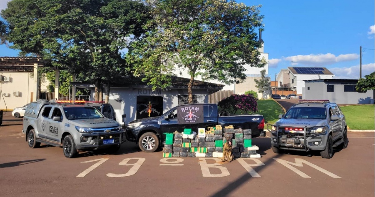 Toledo é destaque em quantidade de maconha apreendida no Paraná